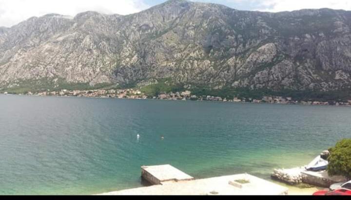 Apartments Vila Marija Kotor Buitenkant foto