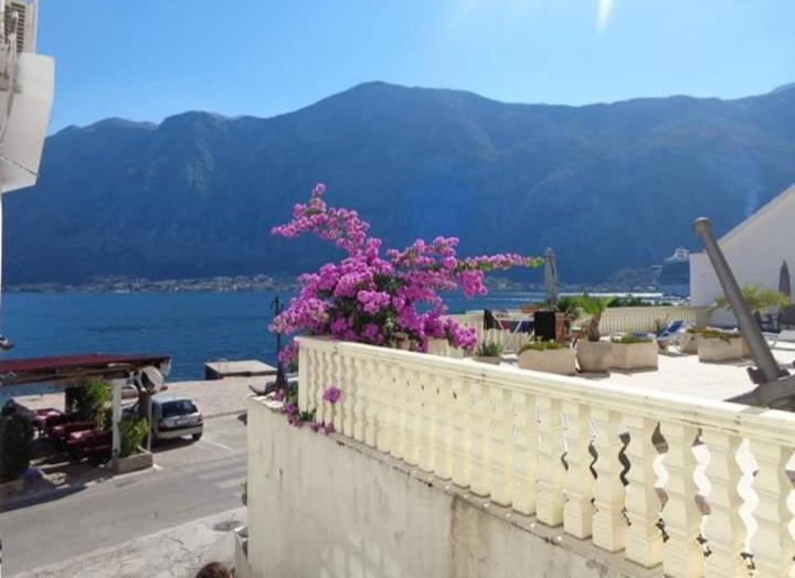 Apartments Vila Marija Kotor Buitenkant foto